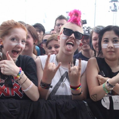 Rock im Park 2013